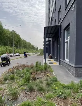 1-к кв. Санкт-Петербург ул. Пейзажная, 24к1 (19.0 м)