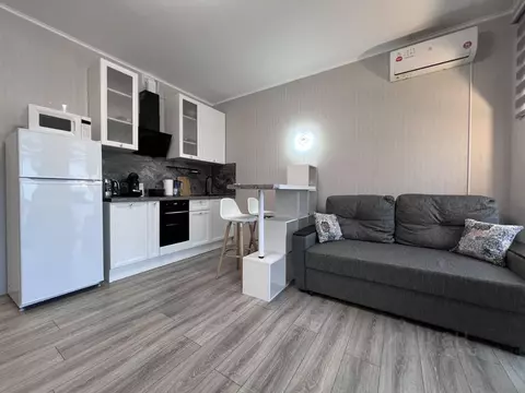 Студия Москва ул. Дыбенко, 7/1 (30.0 м)