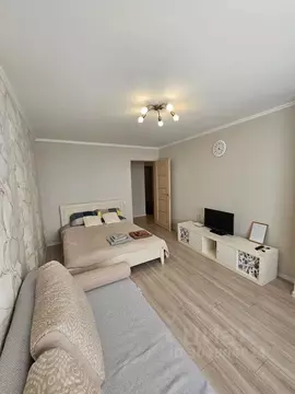 1-к кв. Башкортостан, Уфа Революционная ул., 68 (43.0 м)