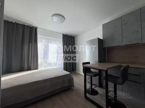 Студия Москва Ижорская ул., 6к2 (24.0 м)