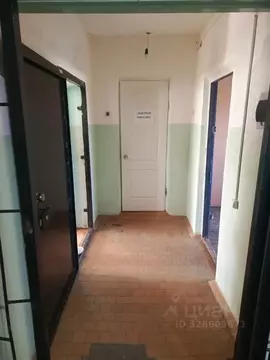 Помещение свободного назначения в Пермский край, Березники ...