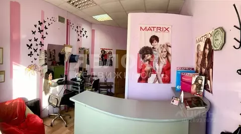 Помещение свободного назначения в Пермский край, Березники ул. Мира, ...