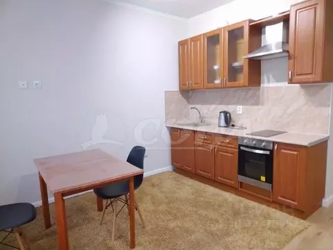 Студия Тюменская область, Тюмень Новгородская ул., 3 (30.0 м)