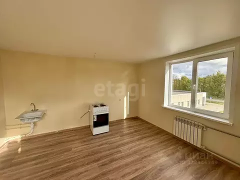 Студия Псковская область, Остров ул. Калинина, 82А (25.2 м)