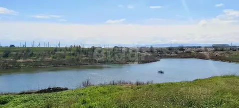 Участок в Крым, Ленинский район, Батальненское с/пос, Нептун СНТ  (6.0 ...