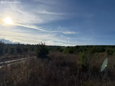 Участок в муниципальное образование Новосельское, деревня Черноситово ...