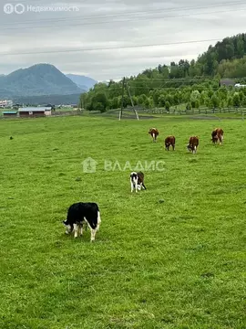 Участок в село Анос, Ясная улица (12.5 м)
