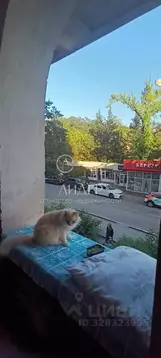 3-к кв. Краснодарский край, Сочи городской округ, Дагомыс пгт ш. ...