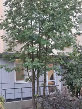 Помещение свободного назначения в Московская область, Красногорск бул. ...