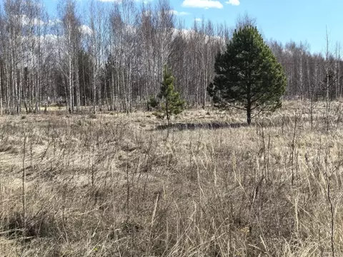 Участок в Тюменская область, Нижнетавдинский муниципальный округ, ...