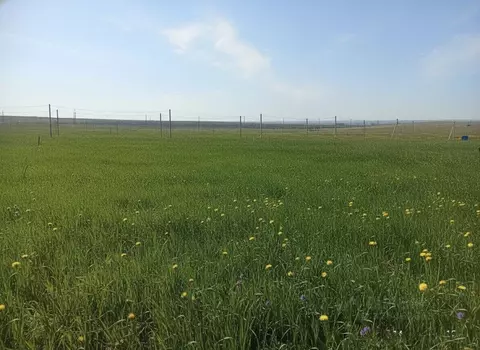 Участок в Оренбургская область, Оренбург городской округ, пос. ...