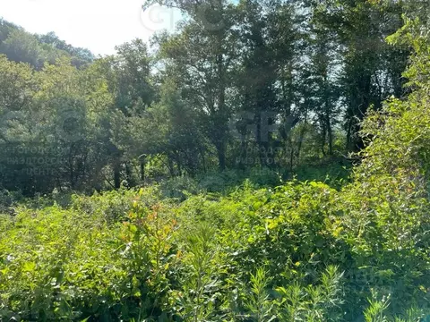 Участок в Краснодарский край, Сочи городской округ, с. Верхневеселое ...