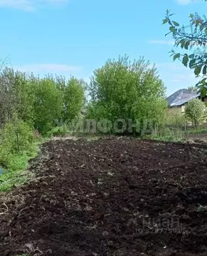 Участок в Алтайский край, Новоалтайск Кооперативный пер. (14.7 сот.)
