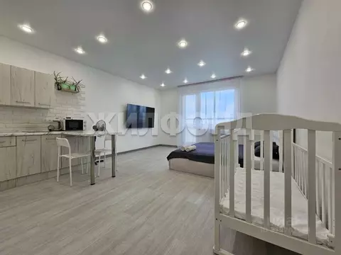 1-к кв. Новосибирская область, Новосибирск ул. Плющихинская, 9 (32.5 ...