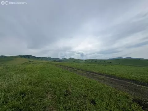 Участок в Алтайский район, ДНТ Жемчужина Алтая (9.6 м)