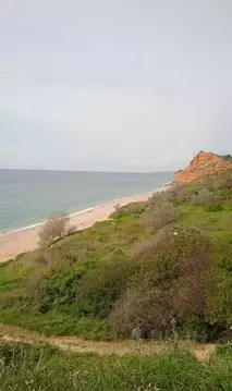 Дом в Севастополь Усть-Бельбек садоводческое товарищество, 161 (51 м)