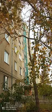 3-к кв. Саратовская область, Саратов Рябиновская ул., 8 (65.0 м)