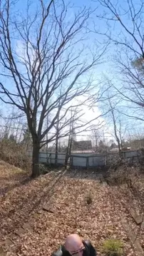 Участок в Ленинградская область, Кировский район, Синявинское ...