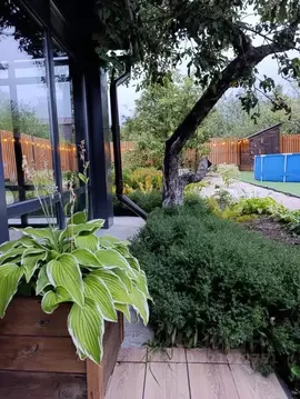 Дом в Саратовская область, Саратов проезд 2-й Саженцевый (40 м)