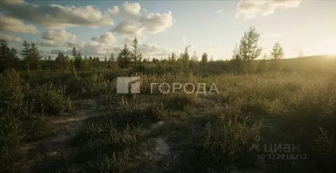 Участок в Алтайский край, Первомайский район, пос. Новый ул. ...