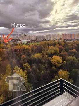 Студия Москва Пятницкое ш., 56Б (24.0 м)