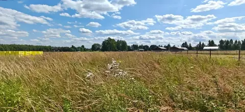 Участок в Московская область, Рузский муниципальный округ, д. Горки  ...