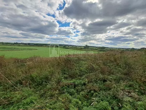 Участок в Владимирская область, Суздальский район, Павловское ...