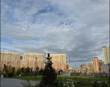 Студия Московская область, Люберцы Зенино ЖК Самолет мкр, проезд ...