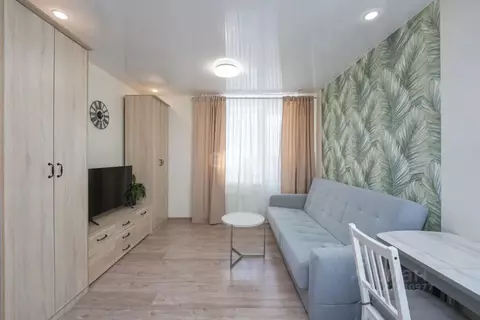 Студия Пермский край, Пермь ул. Советской Армии, 60 (31.2 м)
