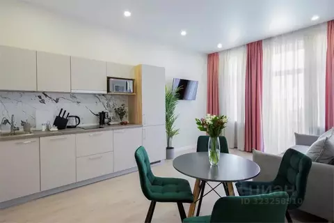 3-к кв. Санкт-Петербург Невский просп., 146 (65.0 м)