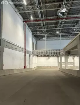 Помещение свободного назначения (1250 м)