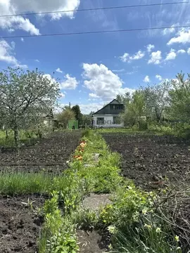 Дом в Орловская область, Орел Спутник СНТ, ул. Центральная, 15 (27 м)