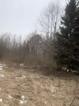 Участок в Тверская область, Кимрский муниципальный округ, д. Плешково  ...