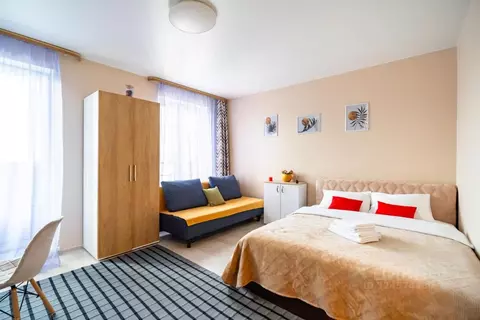 1-к кв. Ленинградская область, Гатчина ул. Чехова, 43 (29.0 м)