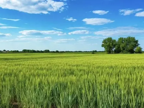 Участок в Ростовская область, Багаевское с/пос, пос. Задонский ул. ...