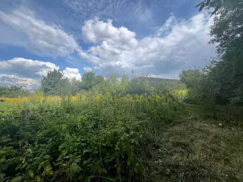 Участок в Нижегородская область, Нижний Новгород с. Федяково,  (11.0 ...