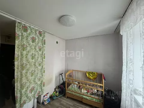 Студия Кемеровская область, Юрга Комсомольская ул., 2 (12.4 м)