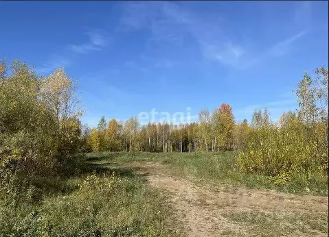 Помещение свободного назначения в Пермский край, Пермь Вышка II мкр,  ...