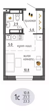 Студия Пермский край, Пермь Ижевская ул., 38 (23.3 м)