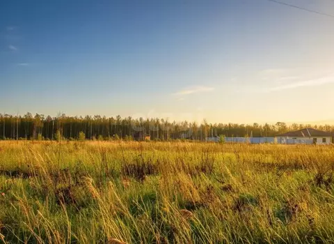 Участок в Татарстан, Пестречинский район, Шигалеевское с/пос, с. Новое ...