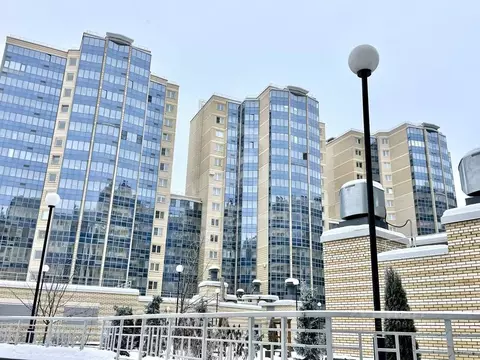 Студия Санкт-Петербург Заневский просп., 42 (27.9 м)