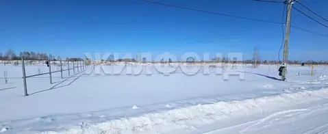 Участок в Новосибирская область, Новосибирский район, Верх-Тулинский ...