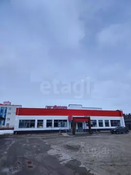 Офис в Ямало-Ненецкий АО, Муравленко Молодежная ул., 11А (434 м)