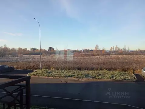 Студия Ленинградская область, Всеволожский район, Романовское с/пос, ...