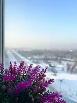 1-к кв. Омская область, Омск просп. Комарова, 17К3 (38.9 м)