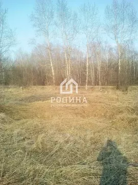 Участок в Хабаровский край, Комсомольский район, с. Новый Мир Лесная ...