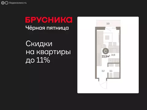 Квартира-студия: Курган, жилой район Центральный, ЖК Дом Кино (23.91 ...