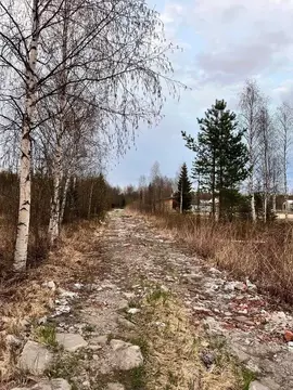 Участок в Архангельская область, Приморский муниципальный округ, ...