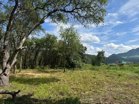 Участок в Алтай, Чемальский район, Радуга Жизни СНТ  (10.0 сот.)