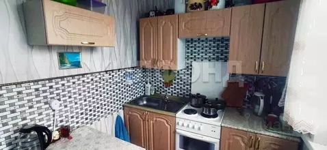 1-к кв. Новосибирская область, Мошковский район, с. Сокур, 4-й кв-л 37 ...